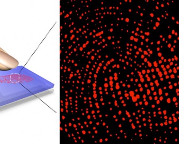 Reconhecimento biométrico: o suor dos seus dedos dirá quem você&nbsp;é!