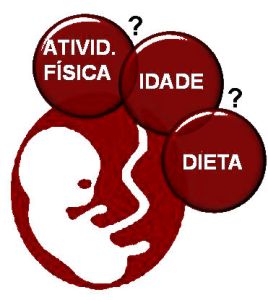 Marco_adicional - Figura