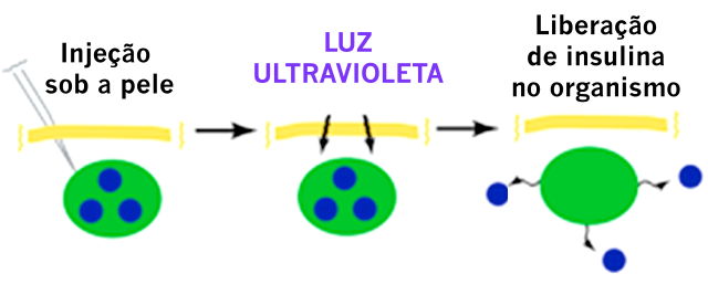 Imagem modificada a partir do artigo original.